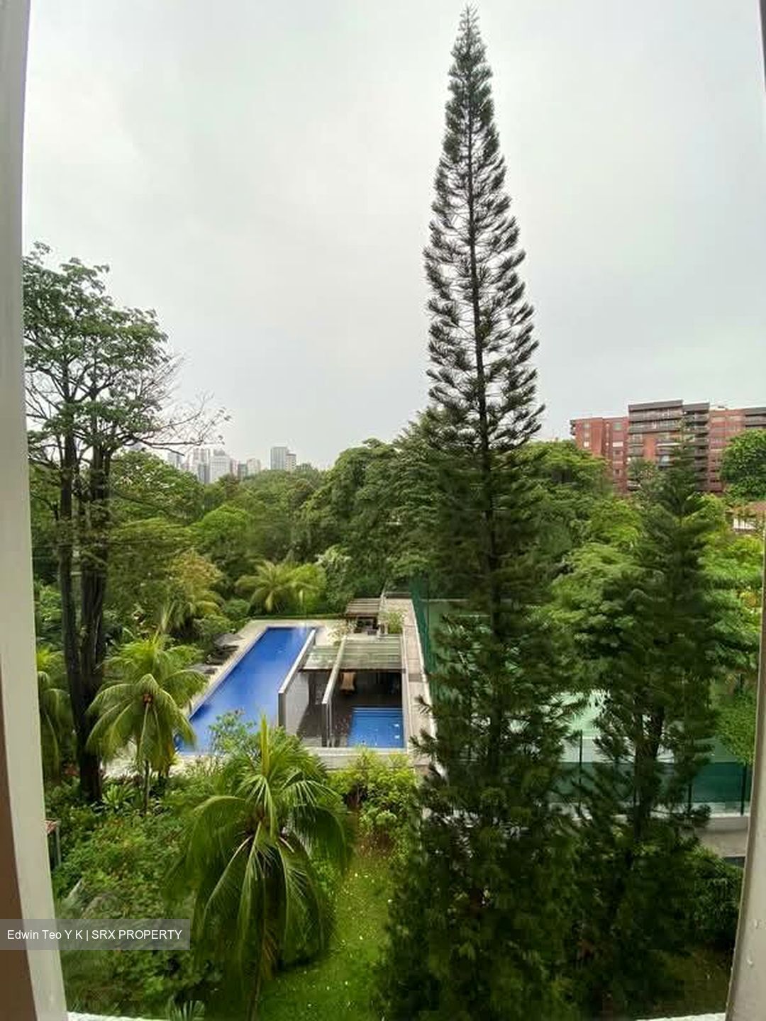 Nassim Regency (D10), Condominium #598237871